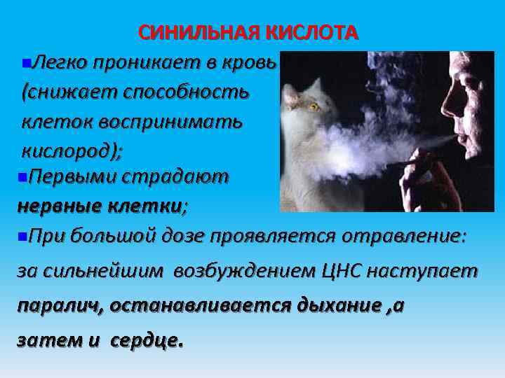 СИНИЛЬНАЯ КИСЛОТА n. Легко проникает в кровь (снижает способность клеток воспринимать кислород); СИНИЛЬНАЯ КИСЛОТА n. Легко проникает в кровь (снижает способность клеток воспринимать кислород);