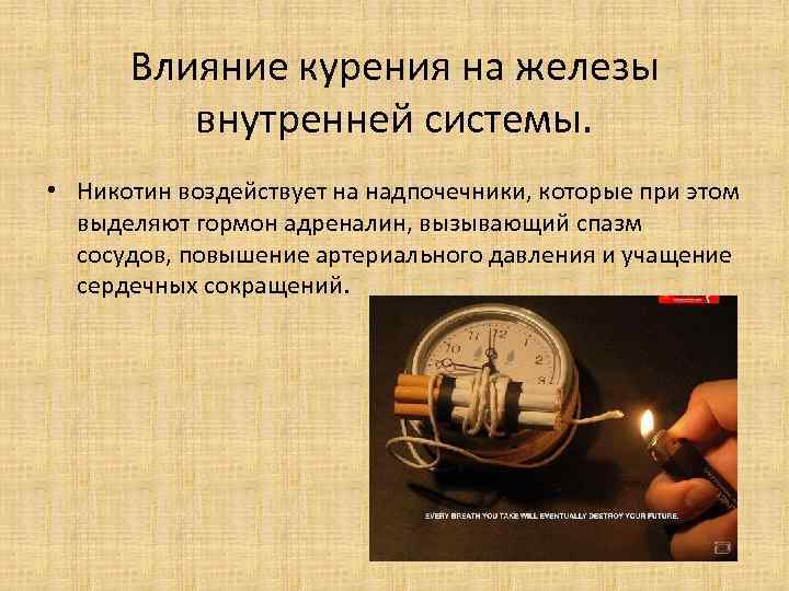 Влияние курения на железы внутренней системы. • Никотин воздействует на Влияние курения на железы внутренней системы. • Никотин воздействует на