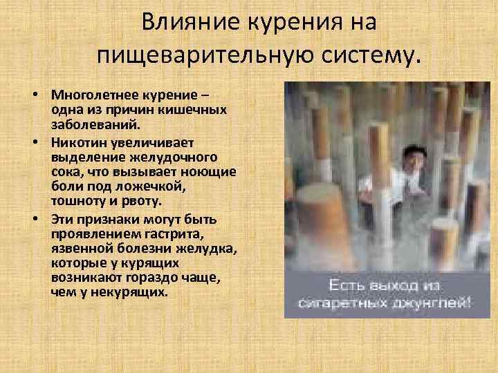 Влияние курения на пищеварительную систему. • Многолетнее курение – Влияние курения на пищеварительную систему. • Многолетнее курение –