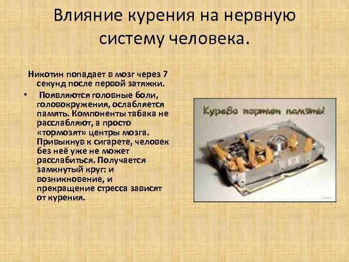 Влияние курения на нервную систему человека. Никотин попадает в мозг через Влияние курения на нервную систему человека. Никотин попадает в мозг через