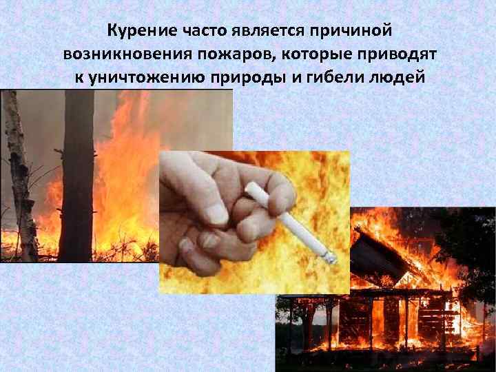 Курение часто является причиной возникновения пожаров, которые приводят к уничтожению природы и Курение часто является причиной возникновения пожаров, которые приводят к уничтожению природы и