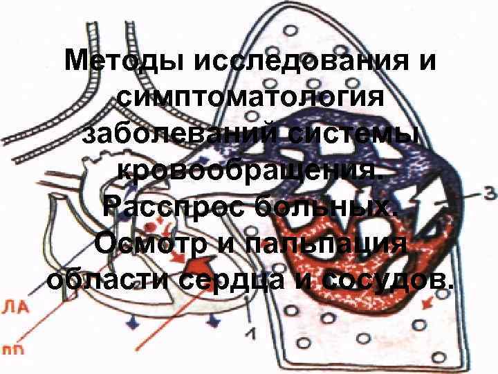  Методы исследования и симптоматология  заболеваний системы кровообращения. Расспрос больных. Осмотр и пальпация