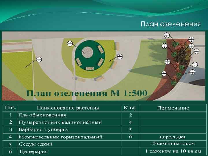 План озеленения 