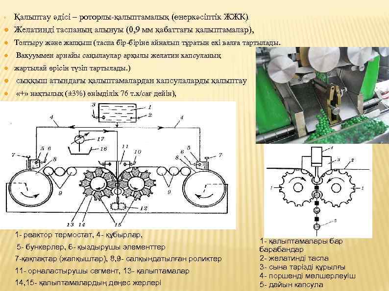  Қалыптау әдісі – роторлы-қалыптамалық (өнеркәсіптік ЖЖК) Желатинді таспаның алынуы (0, 9 мм қабаттағы