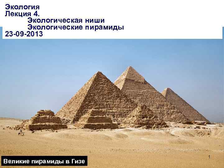 Экология Лекция 4. Экологическая ниши Экологические пирамиды 23 -09 -2013 Великие пирамиды в Гизе
