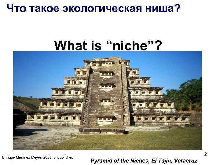 Что такое экологическая ниша? What is “niche”? Enrique Martínez Meyer, 2005, unpublished 2 Pyramid