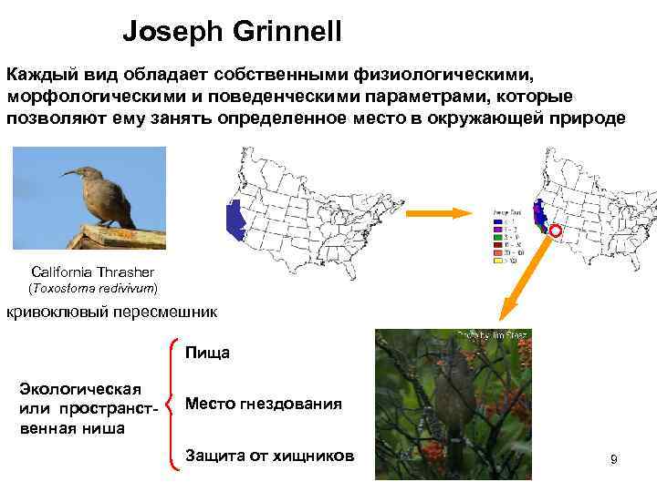 Joseph Grinnell Каждый вид обладает собственными физиологическими, морфологическими и поведенческими параметрами, которые позволяют ему
