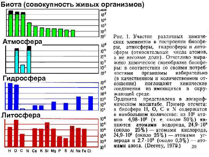 Биота (совокупность живых организмов) Атмосфера Гидросфера Литосфера 29 