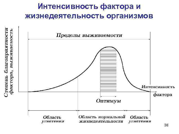 Интенсивность фактора и жизнедеятельность организмов 38 
