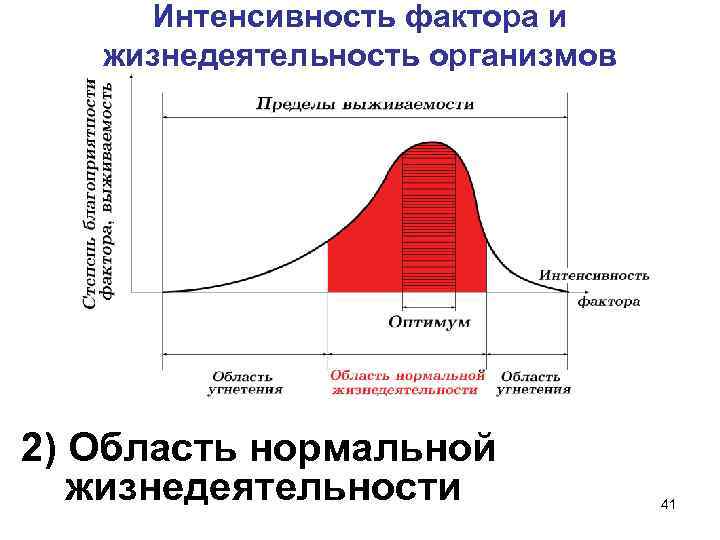 Интенсивность фактора и жизнедеятельность организмов 2) Область нормальной жизнедеятельности 41 