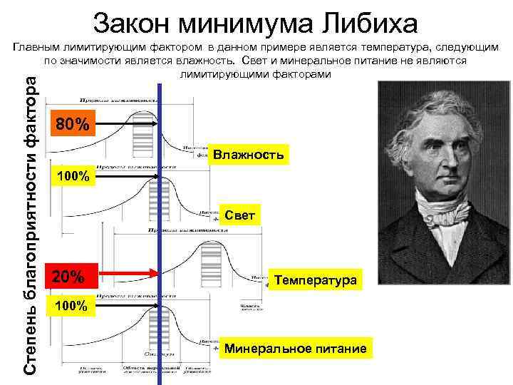 Закон минимума либиха рисунок