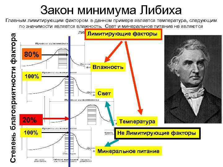 Закон минимума Либиха Степень благоприятности фактора Главным лимитирующим фактором в данном примере является температура,