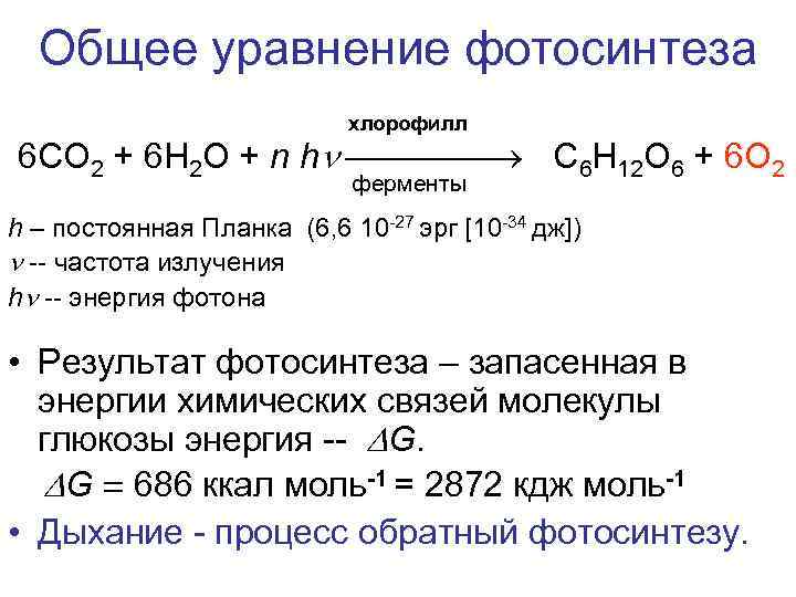Общее уравнение фотосинтеза хлорофилл 6 СO 2 + 6 H 2 O + n