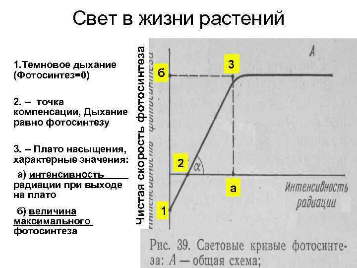 1. Темновое дыхание (Фотосинтез=0) 2. -- точка компенсации, Дыхание равно фотосинтезу 3. -- Плато