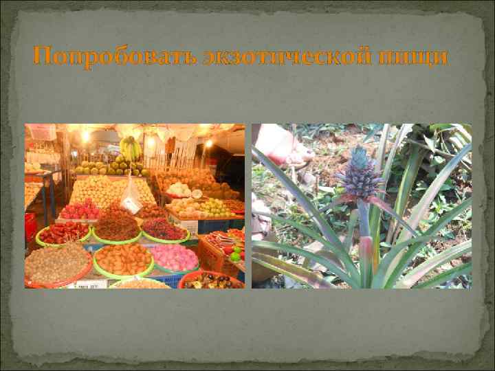 Попробовать экзотической пищи 