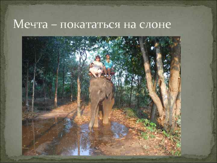 Мечта – покататься на слоне 