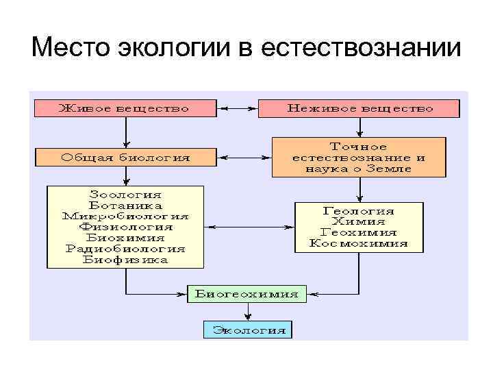 Место экологии в естествознании Место экологии в естествознании