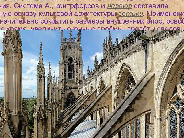 контрфорсам, расположенным за пределами основног ния. Система А. , контрфорсов и нервюр составила ную