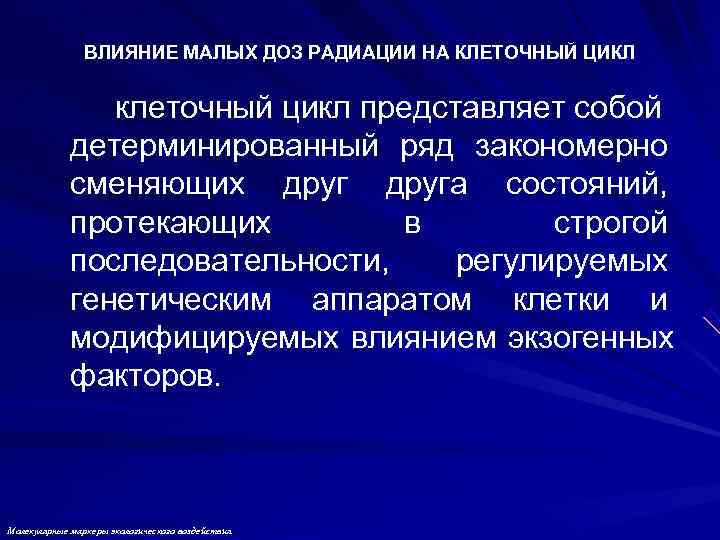     ВЛИЯНИЕ МАЛЫХ ДОЗ РАДИАЦИИ НА КЛЕТОЧНЫЙ ЦИКЛ   
