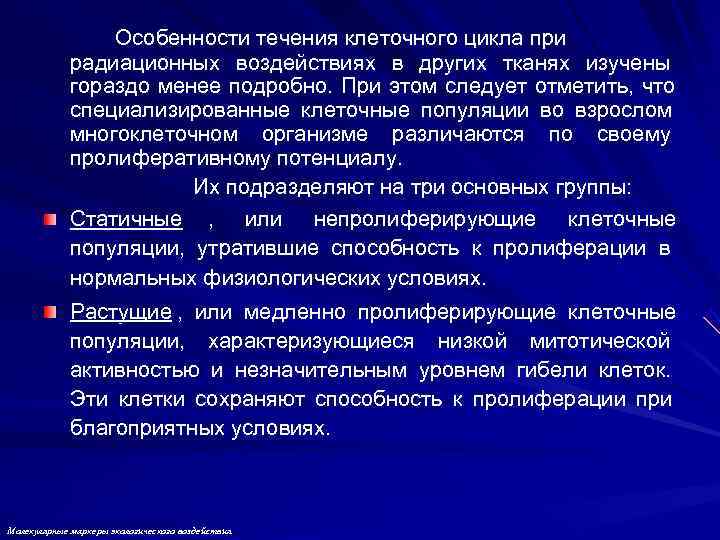    Особенности течения клеточного цикла при   радиационных воздействиях в других