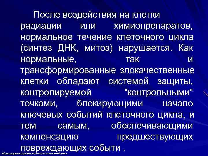     После воздействия на клетки   радиации или  химиопрепаратов,