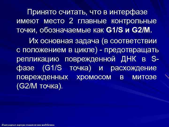     Принято считать, что в интерфазе   имеют место 2