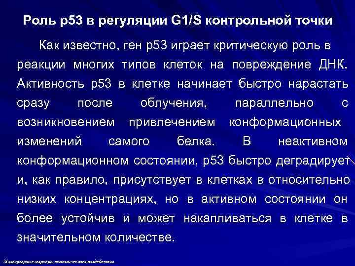   Роль p 53 в регуляции G 1/S контрольной точки   Как