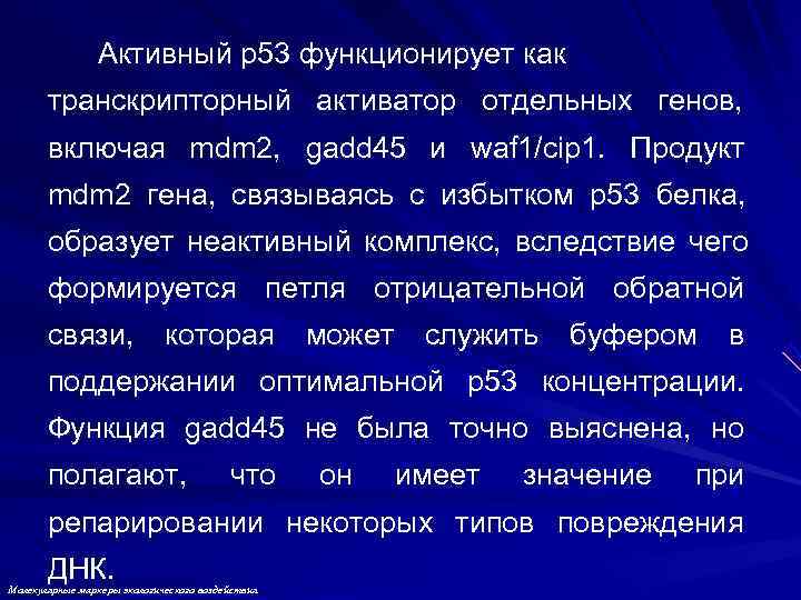     Активный p 53 функционирует как  транскрипторный активатор отдельных генов,