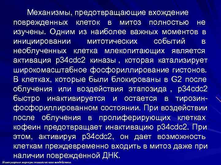   Механизмы, предотвращающие вхождение  поврежденных клеток в митоз полностью не  изучены.