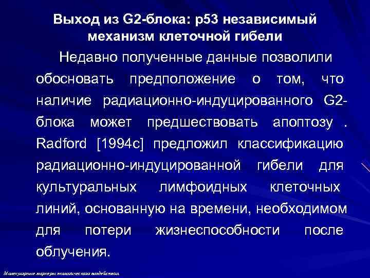     Выход из G 2 -блока: p 53 независимый  