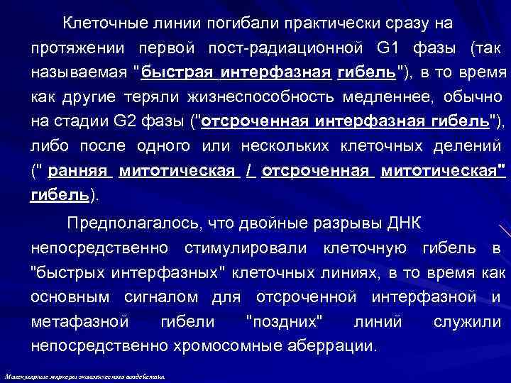   Клеточные линии погибали практически сразу на  протяжении первой пост-радиационной G 1
