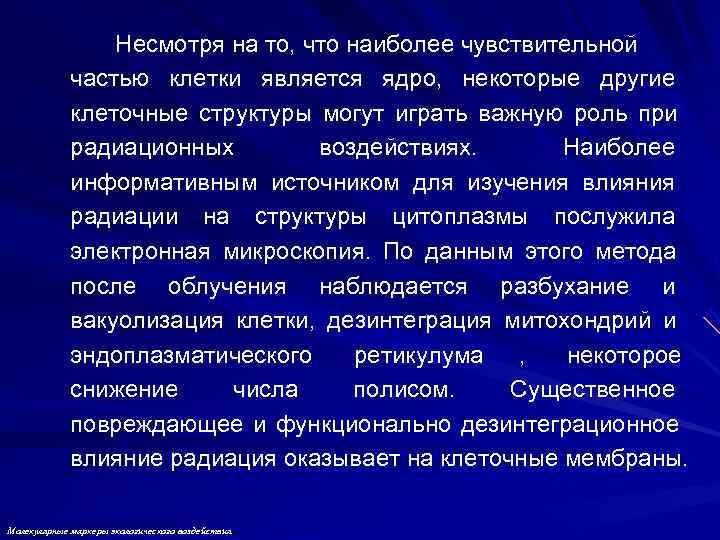    Несмотря на то, что наиболее чувствительной   частью клетки является