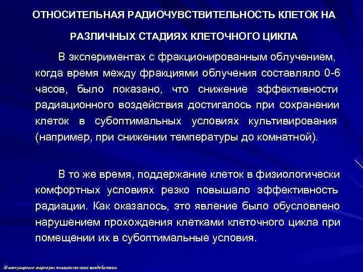   ОТНОСИТЕЛЬНАЯ РАДИОЧУВСТВИТЕЛЬНОСТЬ КЛЕТОК НА     РАЗЛИЧНЫХ СТАДИЯХ КЛЕТОЧНОГО ЦИКЛА