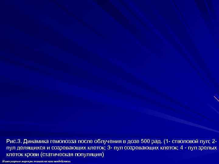 Рис. 3. Динамика гемопоэза после облучения в дозе 500 рад. (1 - стволовой Рис. 3. Динамика гемопоэза после облучения в дозе 500 рад. (1 - стволовой