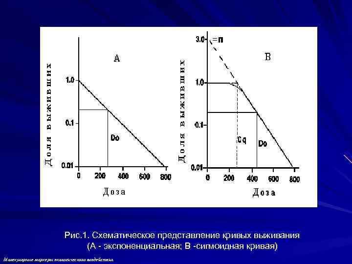 Рис. 1. Схематическое представление кривых выживания Рис. 1. Схематическое представление кривых выживания
