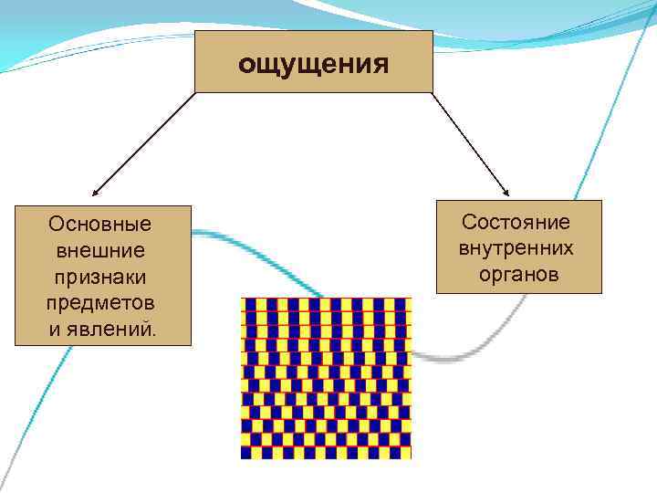    ощущения Основные    Состояние внешние    внутренних