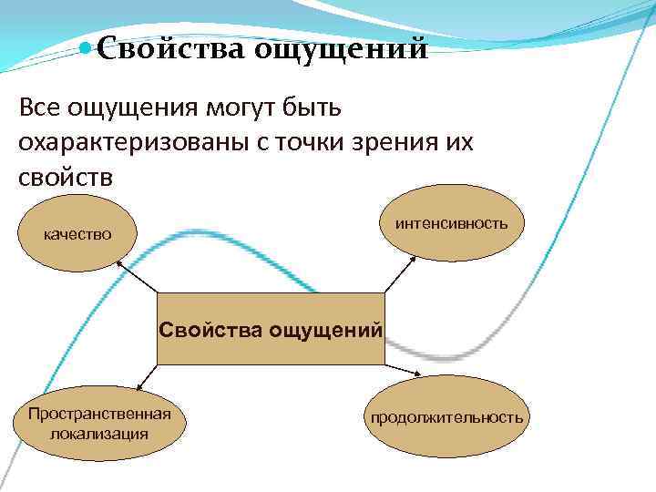   Свойства ощущений Все ощущения могут быть охарактеризованы с точки зрения их свойств