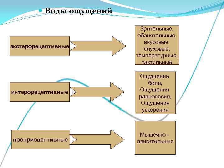    Виды ощущений     Зрительные,    