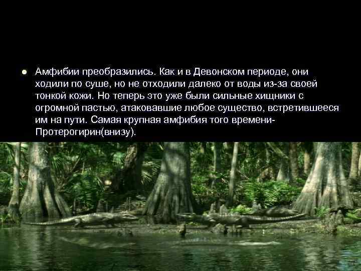 l  Амфибии преобразились. Как и в Девонском периоде, они ходили по суше, но