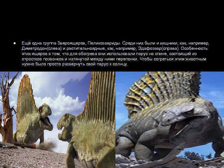 l  Ещё одна группа Звероящеров, Пеликозавриды. Среди них были и хищники, как, например,