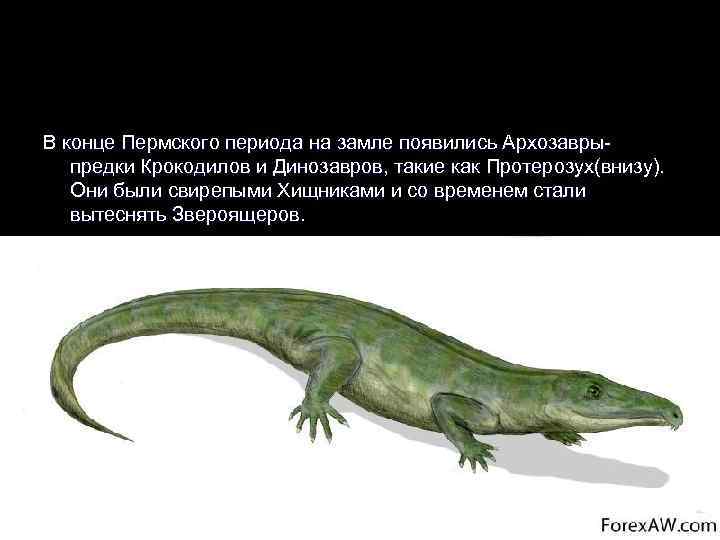 В конце Пермского периода на замле появились Архозавры-  предки Крокодилов и Динозавров, такие