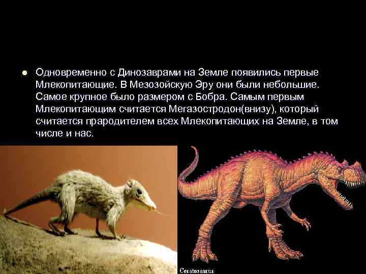 l  Одновременно с Динозаврами на Земле появились первые Млекопитающие. В Мезозойскую Эру они