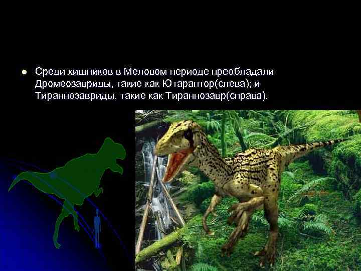 l  Среди хищников в Меловом периоде преобладали Дромеозавриды, такие как Ютараптор(слева); и Тираннозавриды,