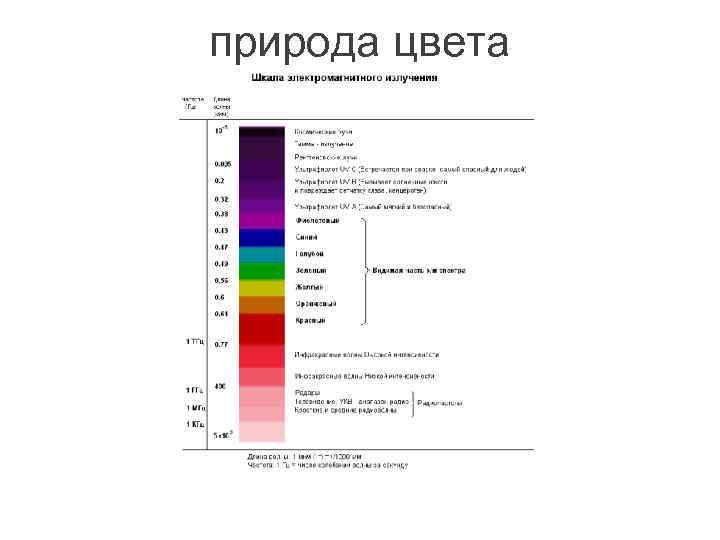 природа цвета 