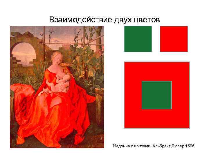 Взаимодействие двух цветов Мадонна с ирисами Альбрехт Дюрер 1506 