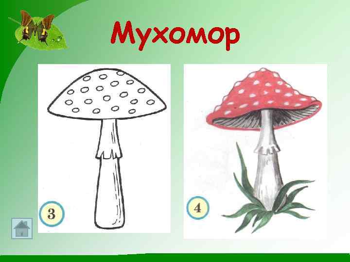 Мухомор 