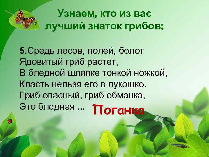 Узнаем, кто из вас лучший знаток грибов: 5. Средь лесов, полей, болот Ядовитый гриб
