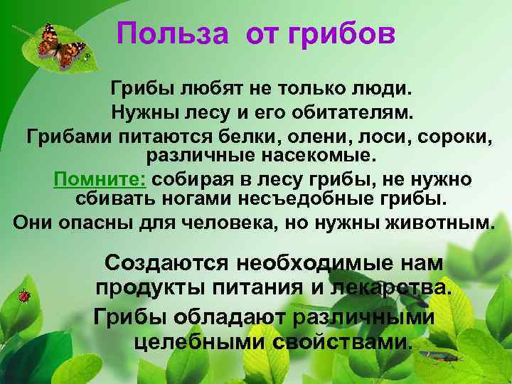 Польза от грибов Грибы любят не только люди. Нужны лесу и его обитателям. Грибами