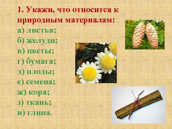 1. Укажи, что относится к природным материалам: а) листья; б) желуди; в) цветы; г)