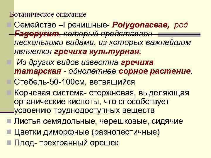 Ботаническое описание n Семейство –Гречишные- Polygonaceae, род Fagopyrum, который представлен несколькими видами, из которых